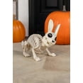 thumbnail image 2 of Lapin Bonez Squelette, 2 of 3