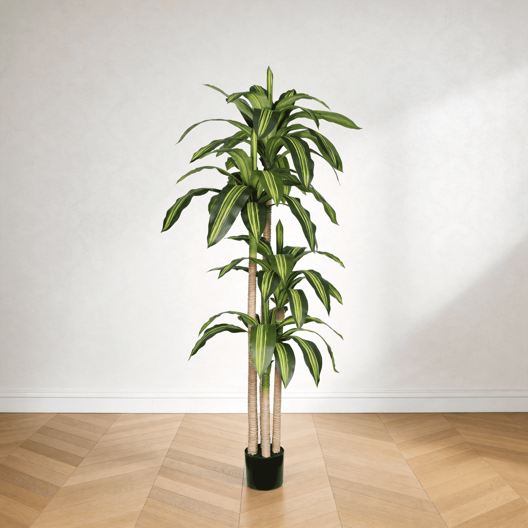 6ft Fake Dracaena Tree in Black Plastic Pot, Artificial Plants Indoor Outdoor Decor, Silk Plants for Home Decor Office Porch Patio