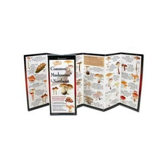 Foldingguides(tm): Common Mushrooms of the Northeast (Other)