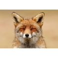 thumbnail image 3 of Raimond, Roeselien 24x17 Black Modern Framed Museum Art Print Titled - Zen Fox Red Portrait, 3 of 5