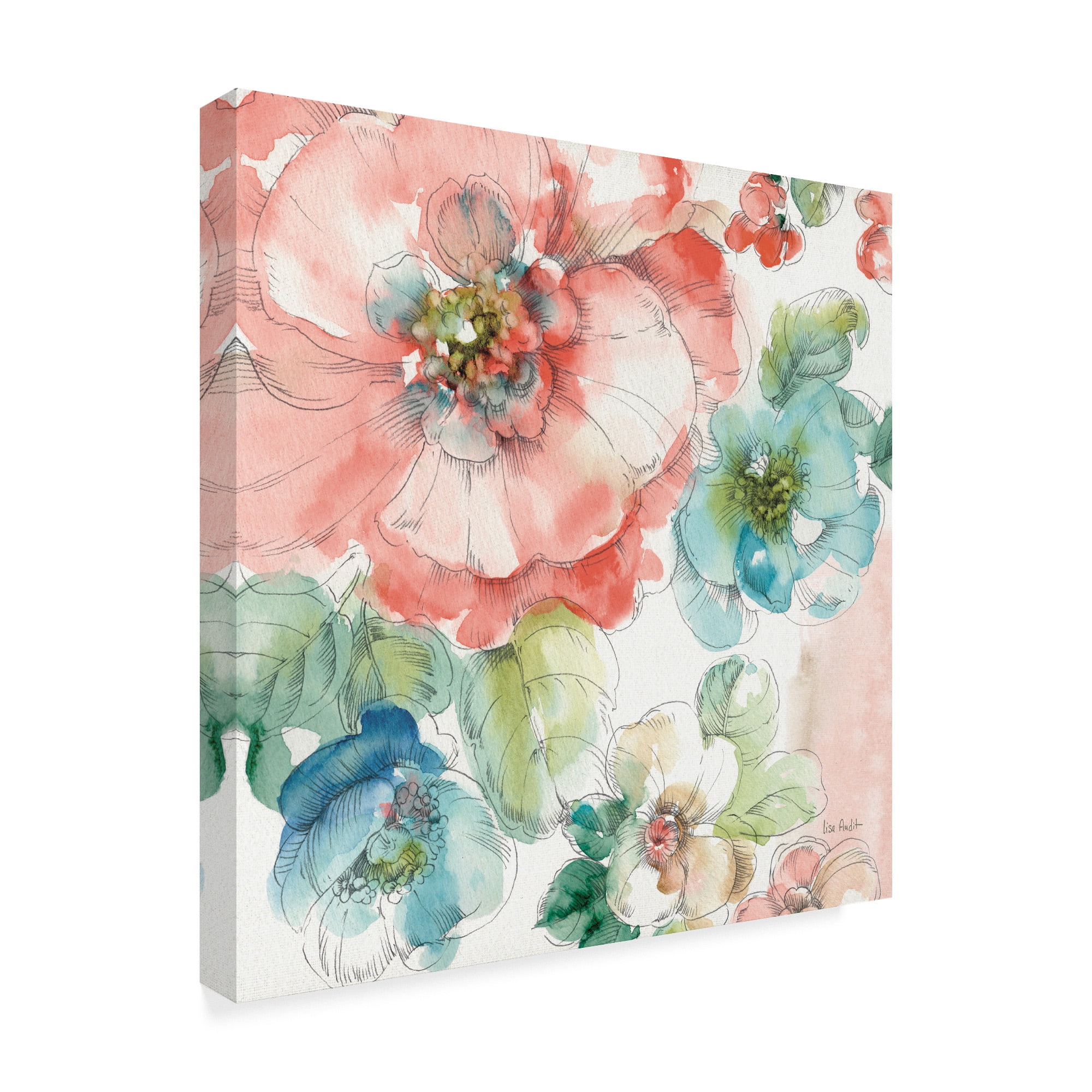 Trademark Fine Art 'Summer Bloom II' Canvas Art by Lisa Audit