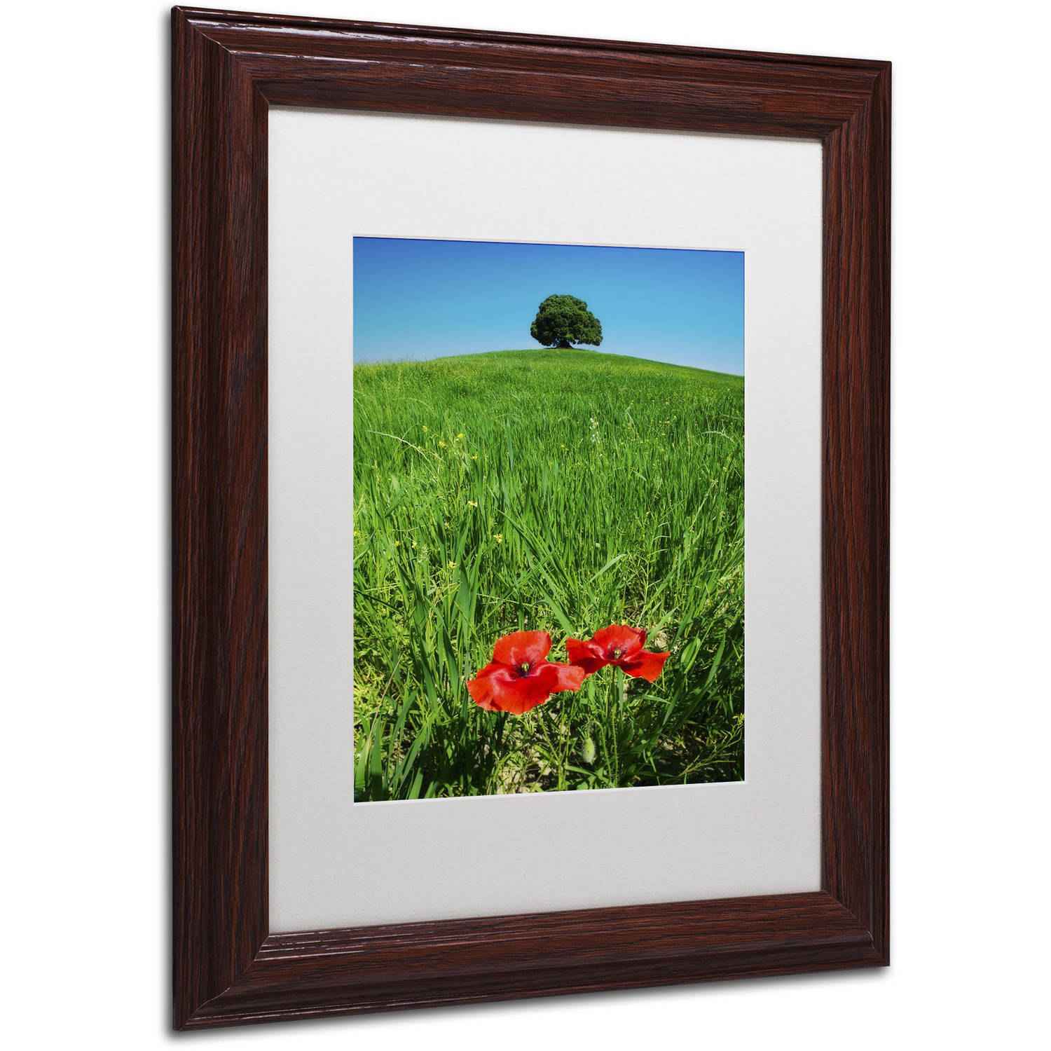Trademark Fine Art 'Red Poppies and Oak' Canvas Art by Michael Blanchette Photography, White Matte, Wood Frame