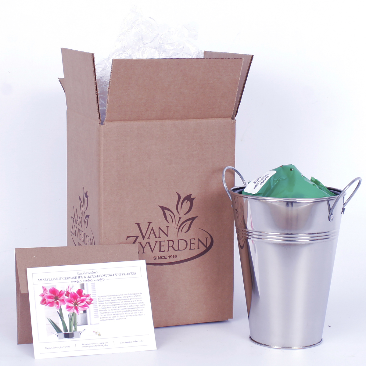 Van Zyverden Amaryllis Kit Gervase with Artisan Decorative Planter Rose Pink Set of 1 Bulb Part Sun