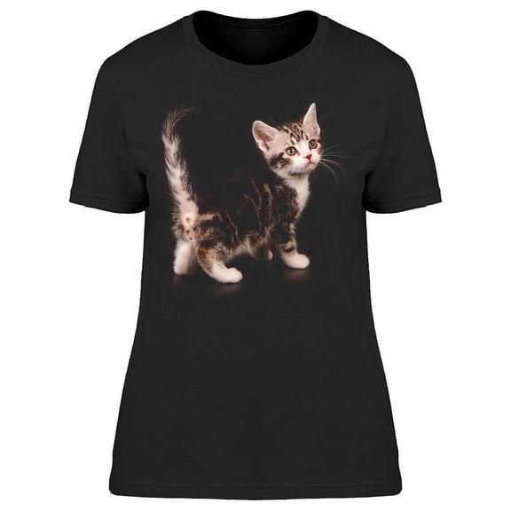 Cute Ameican Shorthair Posing T-Shirt Women -Image by Shutterstock, Female Medium