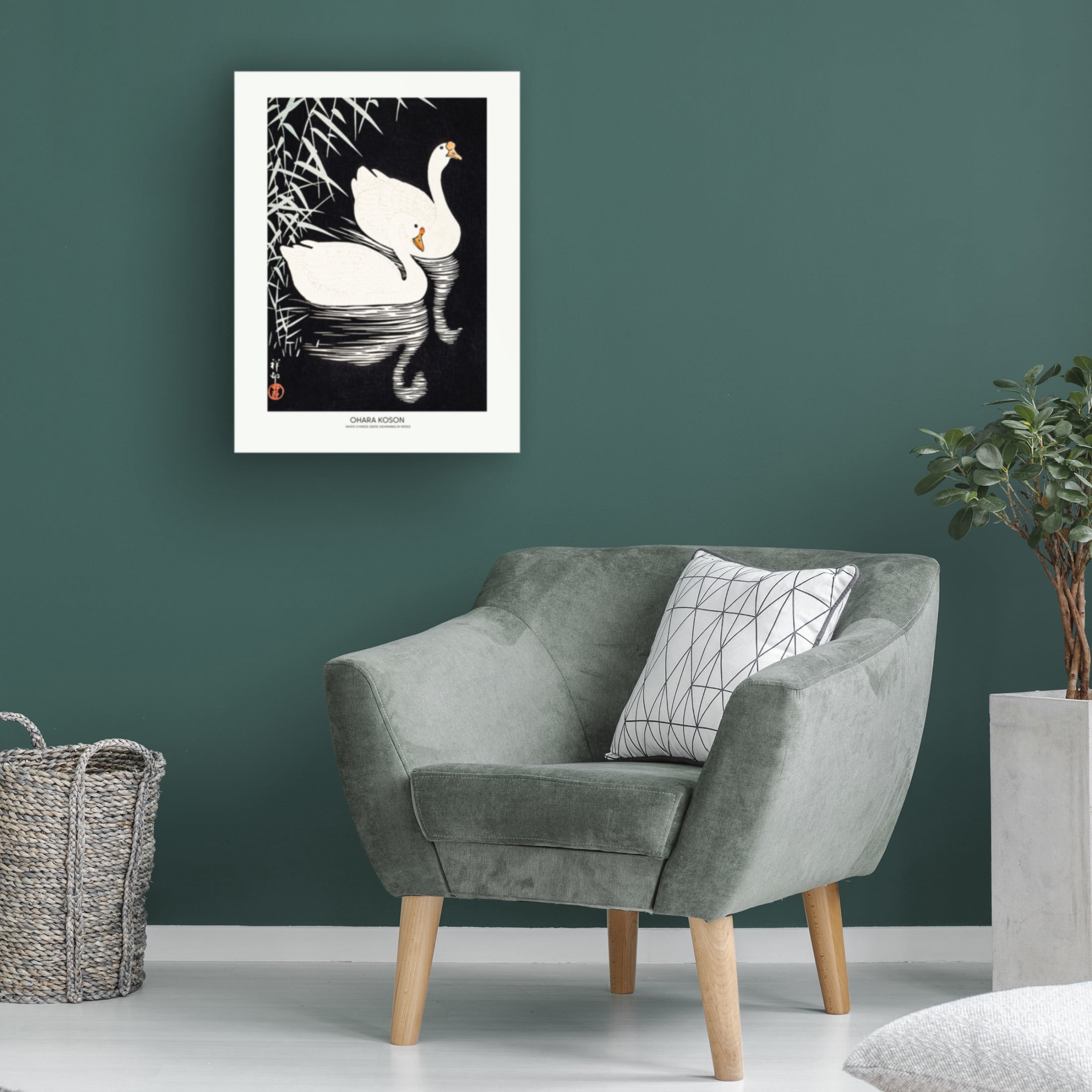 Trademark Fine Art Pictufy  White Chinese Geese Swimming by Reeds Canvas Wall Art