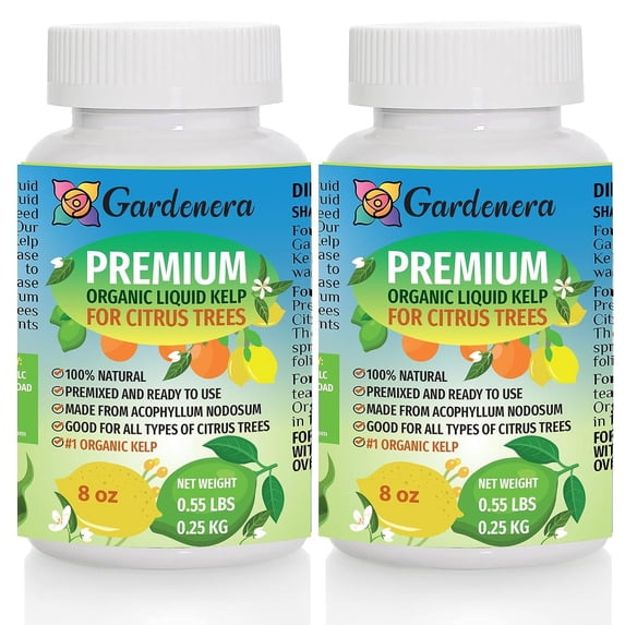 GARDENERA Organic Liquid Kelp Fertilizer for Citrus Tree - 16 oz - Optimal Care for Your Citrus Fruits Growth and Flavor