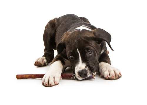 jack & pup bully sticks