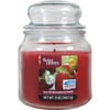 Better Homes & Gardens Jar Candle, Sun-Lit Strawberry Patch, 13 oz