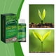 thumbnail image 4 of Green Grower - Solución para el crecimiento de plantas de césped - Suplemento fertilizante concentrado para flores, plantas en maceta y césped (60 ml), 4 of 7
