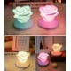 thumbnail image 5 of Luz de noche Luz de noche de flor rosa Lámpara de escritorio de carga USB Ambiente de silicona azul claro LED ER, 5 of 5