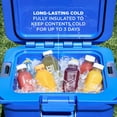 thumbnail image 4 of Coleman® Pro 25-Quart Hard Cooler, 4 of 8