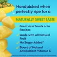 thumbnail image 2 of Pineapple Chunks in 100% Pineapple Juice, 20 oz Can, 2 of 7