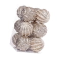 thumbnail image 3 of 12 piezas de adornos de bolas de Navidad, adornos colgantes decorativos para decoración navideña, adornos para árboles de Navidad para aniversario, patio Champán, 3 of 8