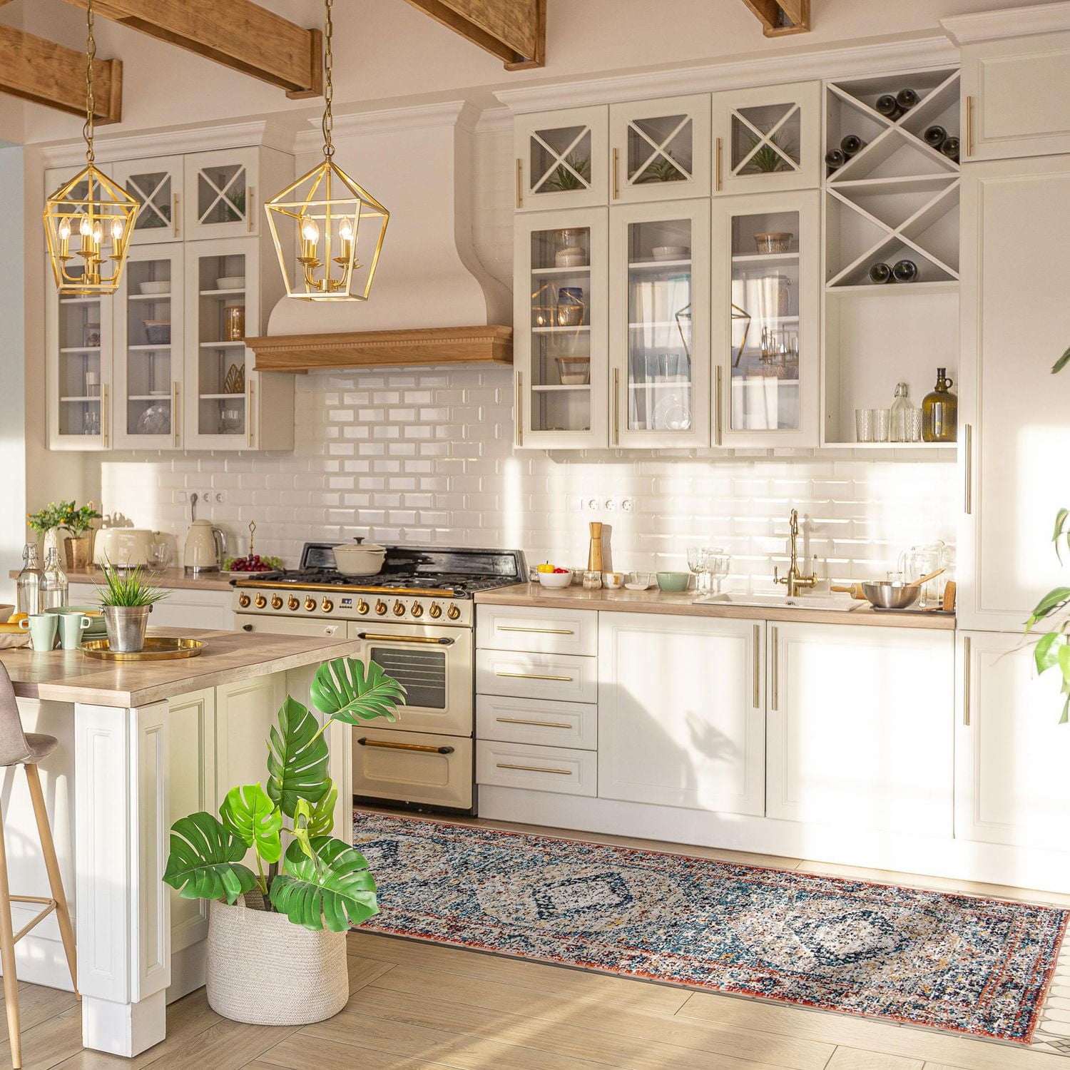 ECARPET Traditional Vintage Style Area Rug for Hallways, Bedroom and Living Room Bolivia Bijar Collection