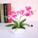 thumbnail image 5 of Gwong Decoración hogareña 1pc artificial seda mariposa orquídea flor ramo de boda casa floral decoración floral Gwong 21025065, 5 of 7