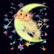 thumbnail image 1 of Cuadros Decorativos Pintura de diamante redondo completo DIY imagen de Animal de gato arte hecho a mano con diamantes de imitación Wdftyju embutido en tela, 1 of 9