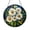 Acrylic 3.5 Inch, variant on Daisy Pressed Flower Display Frame – Decorative Botanical Wall Art