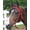Red, variant on Mustang Horse Bridle
