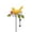 Yellow-#1037, variant on Bird Garden Stakes, Metal Shaking Head Bird Decorative Yard Stakes, Rust Resistant Outdoor Garden Art for Lawn Patio Pathway, Colorful Bird and Wildflower Garden Accent (14.2 Inch)