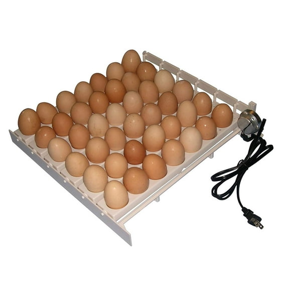 Farm Innovators Automatic Egg Turner 41 Large Egg Capacity Chicken Egg Incubator with Thermometer