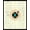Black Teal Cream, Pattern 1, variant on ODIKA 8'x10' Washable Area Rug Non-Slip Chair-Friendly Mat Vinyl Vintage Record Turntable Disc Soundwave Musical Notes Decorative for Dining Room, Large Office, Lounge