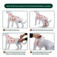 thumbnail image 3 of Kuoser Combinaison de Récupération Chirurgicale pour Chien, Grenouillère pour Chien et Chat après Chirurgie, Rose, G, 3 of 6