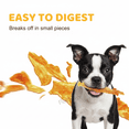 thumbnail image 4 of iPaw Turkey Tendon for Dogs, Hypoallergenic, All Natural Human Grade Puppy Chew, Dog Treats for Signature Series, Rawhide Alternative, 4 Units/Pack Bone (Small), 4 of 6