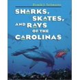 thumbnail image 1 of Sharks, Skates, and Rays of the Carolinas, 1 of 3