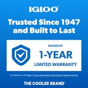 Igloo MaxCold Small Ice Freeze Block, Blue, Best Used for On-the-Go Snacks and Lunches to Keep Food Cool