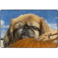 thumbnail image 4 of SKYSONIC 72x48in Fall Pekingese Dog Pumpkin Area Rug, Non-Slip Floor Carpet for Indoor Living Dining Room and Bedroom Area, 4 of 5