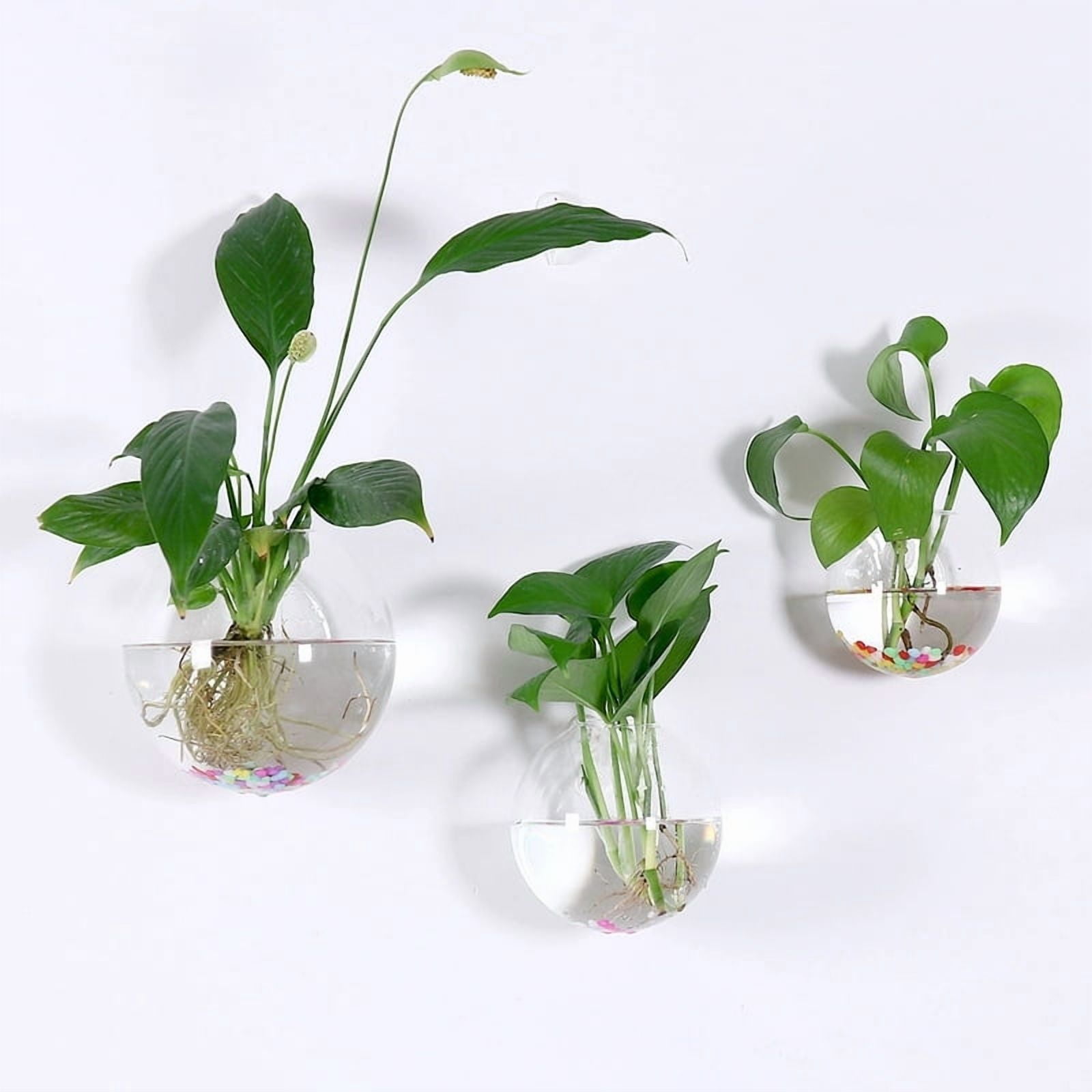 2/4/6/8 Pack Wall Hanging Glass Terrarium - Self-Watering Hydroponic Planter for Home Office Decor, Handmade Round Crystal Vase
