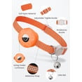 thumbnail image 5 of Collar AirTag para gatos, collar reflectante para gatitos, collar desmontable para gatos Apple Air Tag, collar GPS para gatos con soporte para AirTag y cascabel (naranja) (naranja), 5 of 5