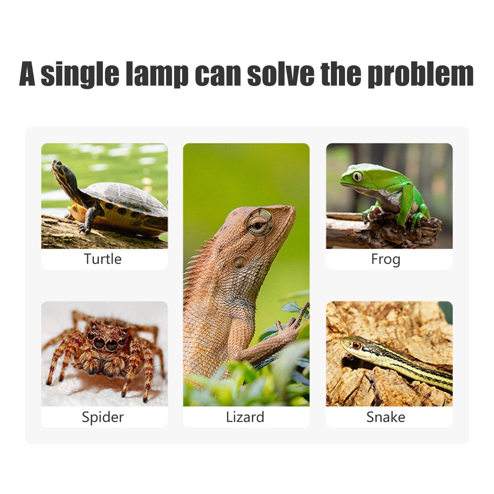 Dianli Reptile Supplies Adjustable Headlight Timer Basking Lamp for Turtles Lizards Reptiles Heat Uvb Calcium Supplementation Adjustable Clamp for Terrarium Reptile Care