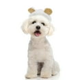 thumbnail image 2 of Unique Bargains 1 Pc Funny Eye-catching Pet Headwear for Halloween White, 2 of 5