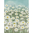 thumbnail image 2 of Seven Trees Design 25x32 White Modern Wood Framed Museum Art Print Titled - Daisies in the Sky, 2 of 4