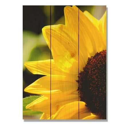 Day Dream Wgys1115 11 X 15 In Yellow Sunflower Wall Art Walmart