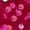 Hot Pink, variant on Women's Glitter Sparkly Sneakers Lace up Lightweight Comfortable Fashion Casual Walking Shoes