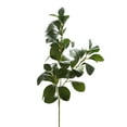thumbnail image 2 of Faux Bigleaf Ficus Branches,Artificial Greenery Fake Eucalyptus Leaves Stems,Faux Shrubs Plants Stems Real Touch Floral Greenery for Vase Home Indoor Garden Window Box Wedding Courtyard Outdoor Decor, 2 of 7