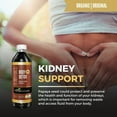 thumbnail image 4 of Body Detox Plus 12fl.oz, Natural Colon Cleanser, Kidney, Liver & Gut Supplement for Men & Women, Papaya Seed, Semillas de Papaya - Herbal Goodness, 4 of 7