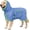 Blue, variant on Soft Bathrobe Drying Coat, Super Absorbent Towels for After Bath, Microfiber Robe Adjustable & Warm Keeping Dogs Coat for Dogs & Cats (Blue, Small)