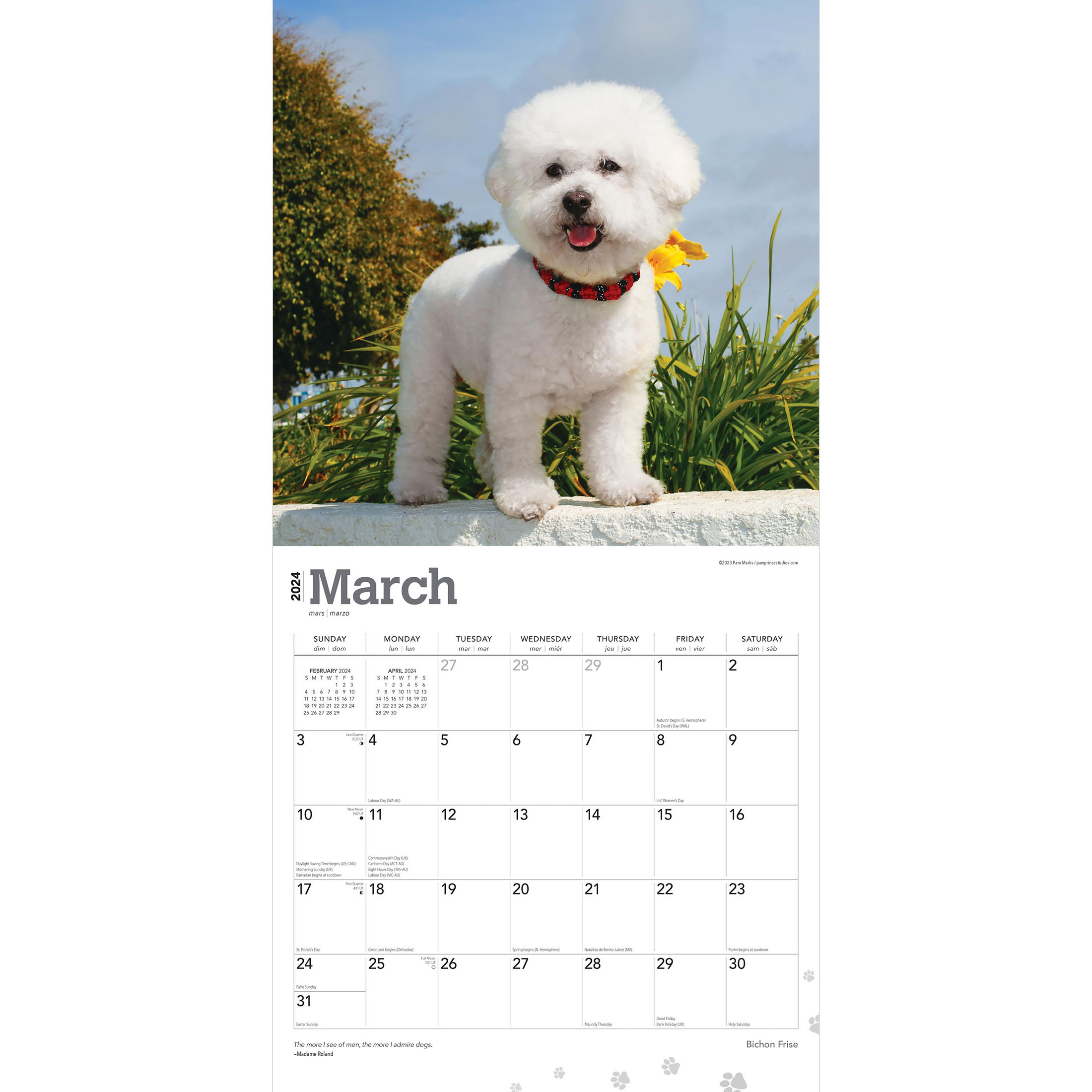Bichon Frise | 2024 12x24" (Hanging) Square Wall Calendar | BrownTrout - image 3 of 8