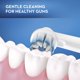 thumbnail image 4 of Oral-B Power Pro-Health Cuidado de las encías, cepillo de dientes con batería, 1 unidad, 4 of 5