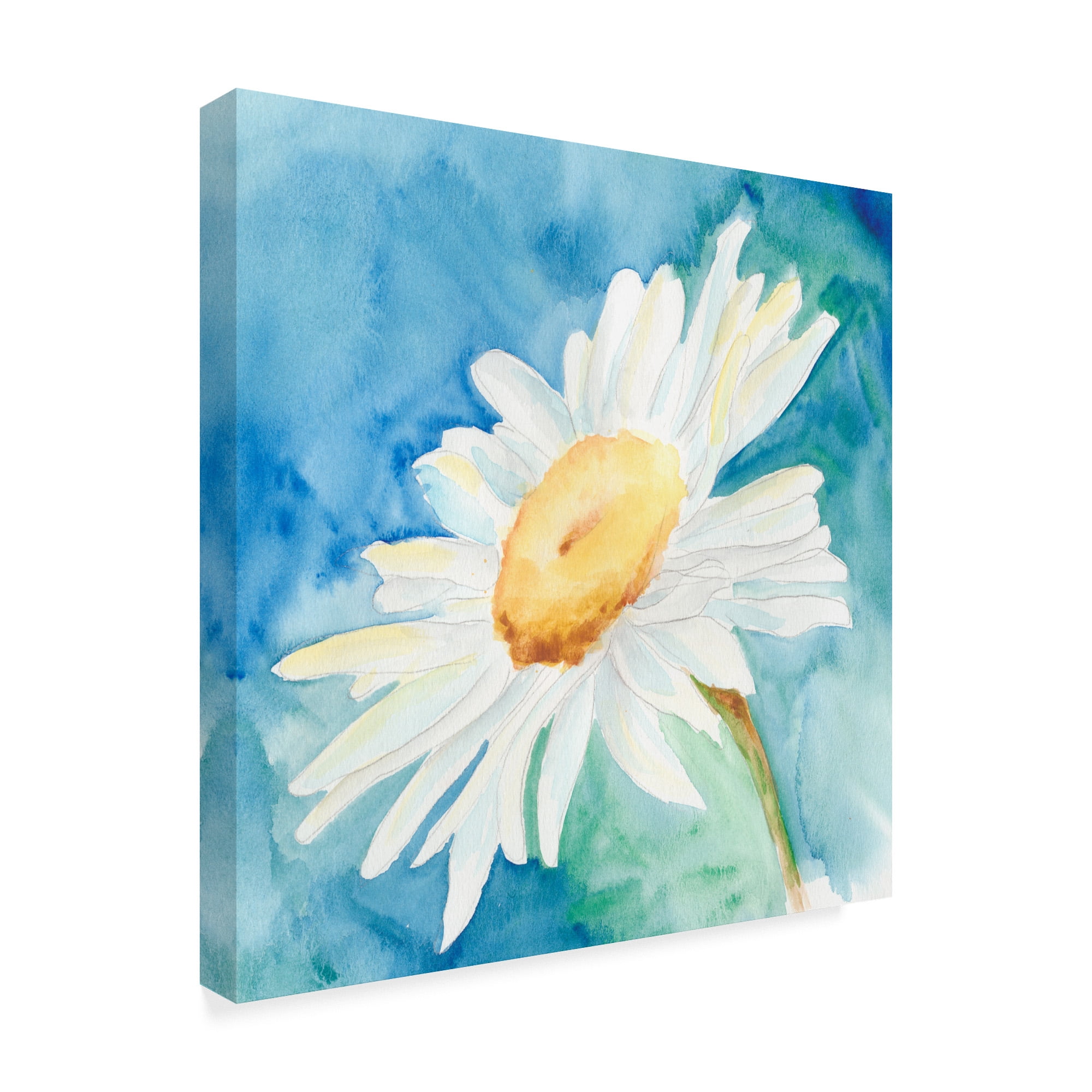 Trademark Fine Art 'Daisy Sunshine I' Canvas Art by Regina Moore