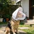 thumbnail image 5 of Mask for Dogs Field Net Guard Dog Protection Hood for Dogs Prevent Foxtails Thorns Rocks Insects, Adjustable Breathable Dog Head Hood for Small Medium Large Breeds for Hiking Outdoor Adventures, 5 of 6