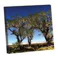 thumbnail image 4 of Tree Line by photographer Steven A. Heller - 14"x14" Canvas Artwork - Multi-Color 30 x 30, 4 of 5