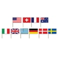 thumbnail image 1 of The Beistle Company 60108 Pics Drapeaux Internationaux (Lot de 12), 1 of 2