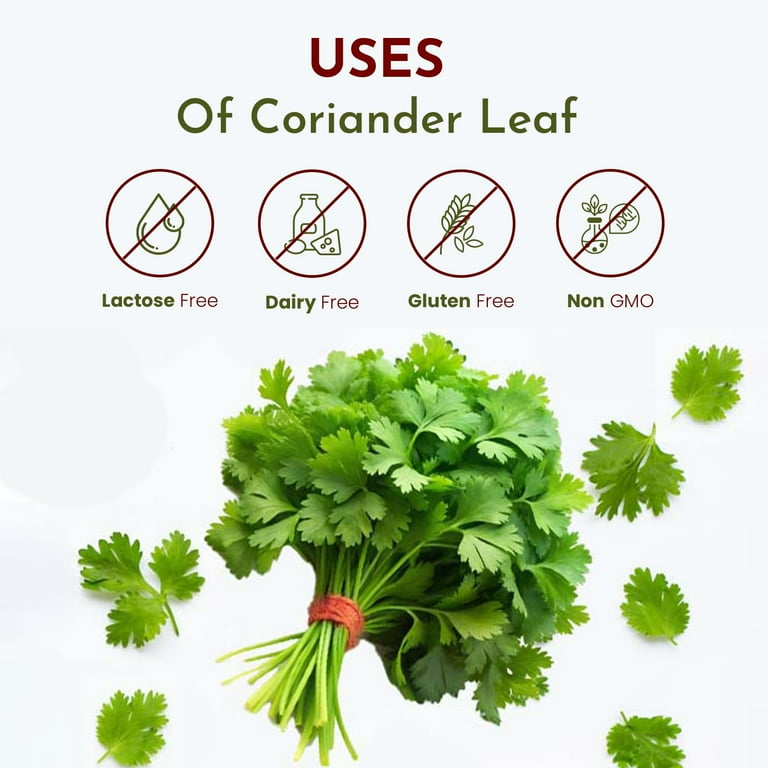 Organic Way Coriander Leaves Cilantro Cut and Sifted Organic Non GMO  Gluten-Free Resealable Bag 4 OZ - Walmart.com