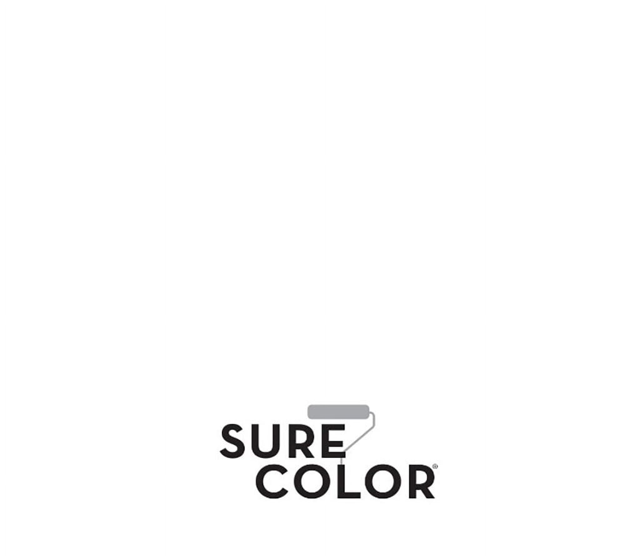 Sure Color Int Egg Alp White Paint 380219