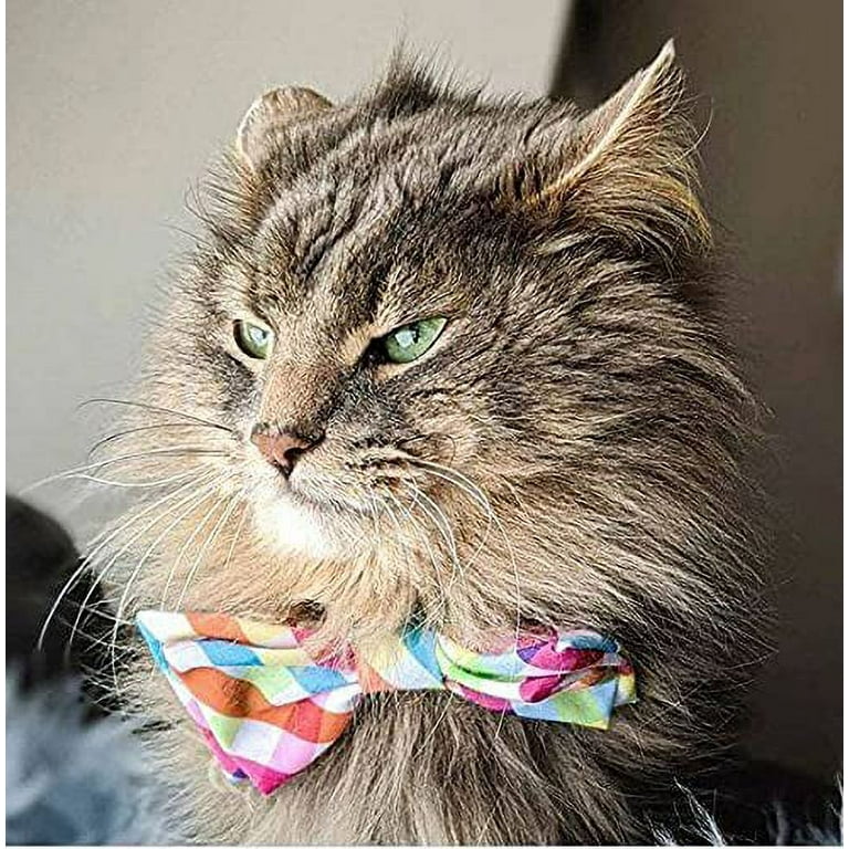 Huxley and kent bow cheap ties