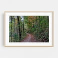 thumbnail image 2 of Hiking to the Lake on a Beautiful Autumn Afternoon - Pennsylvania Photography Forest Autumn Woodland Nature Scenic Landscape Wilderness Unframed Wall Art Print 16 x 24 inches, 2 of 7